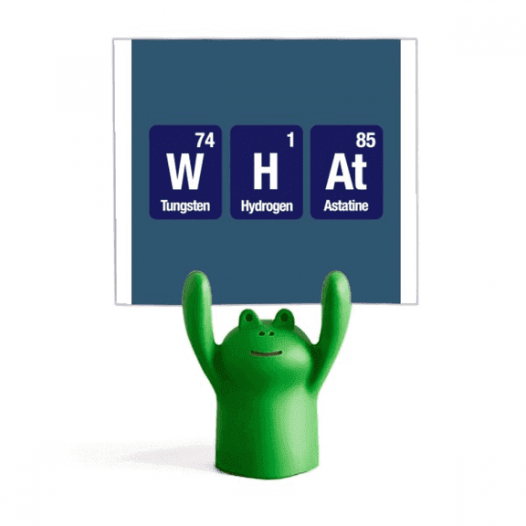 What Checal Element Science Memo Holder Cartoon Animal Frog Stand Decoration