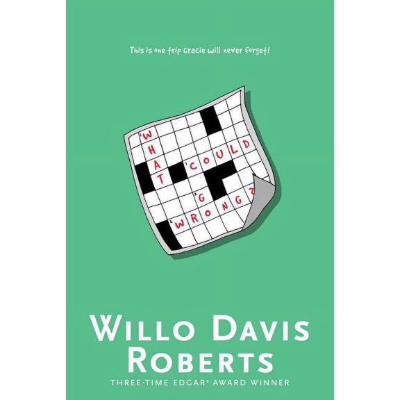 What Could Go Wrong? (Paperback)