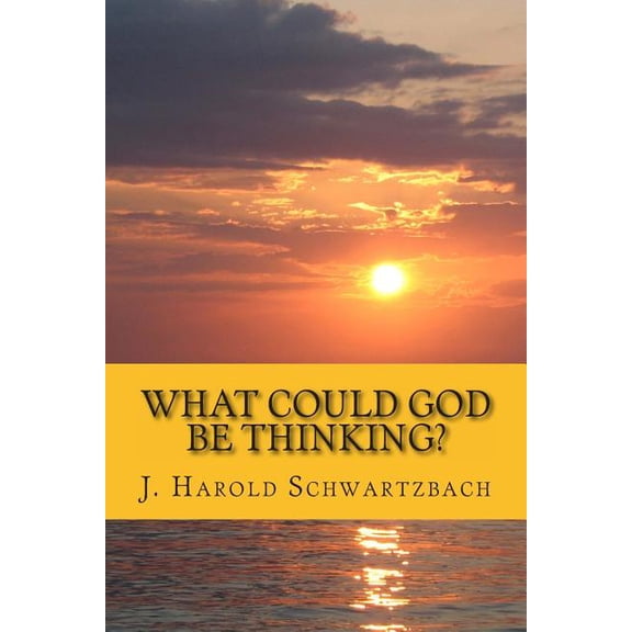What Could God Be Thinking?, (Paperback)