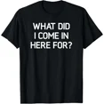 thumbnail image 1 of What Did In Come In Here For Funny Sarcastic Joke Unisex T-Shirt up to size 5XL, 1 of 2