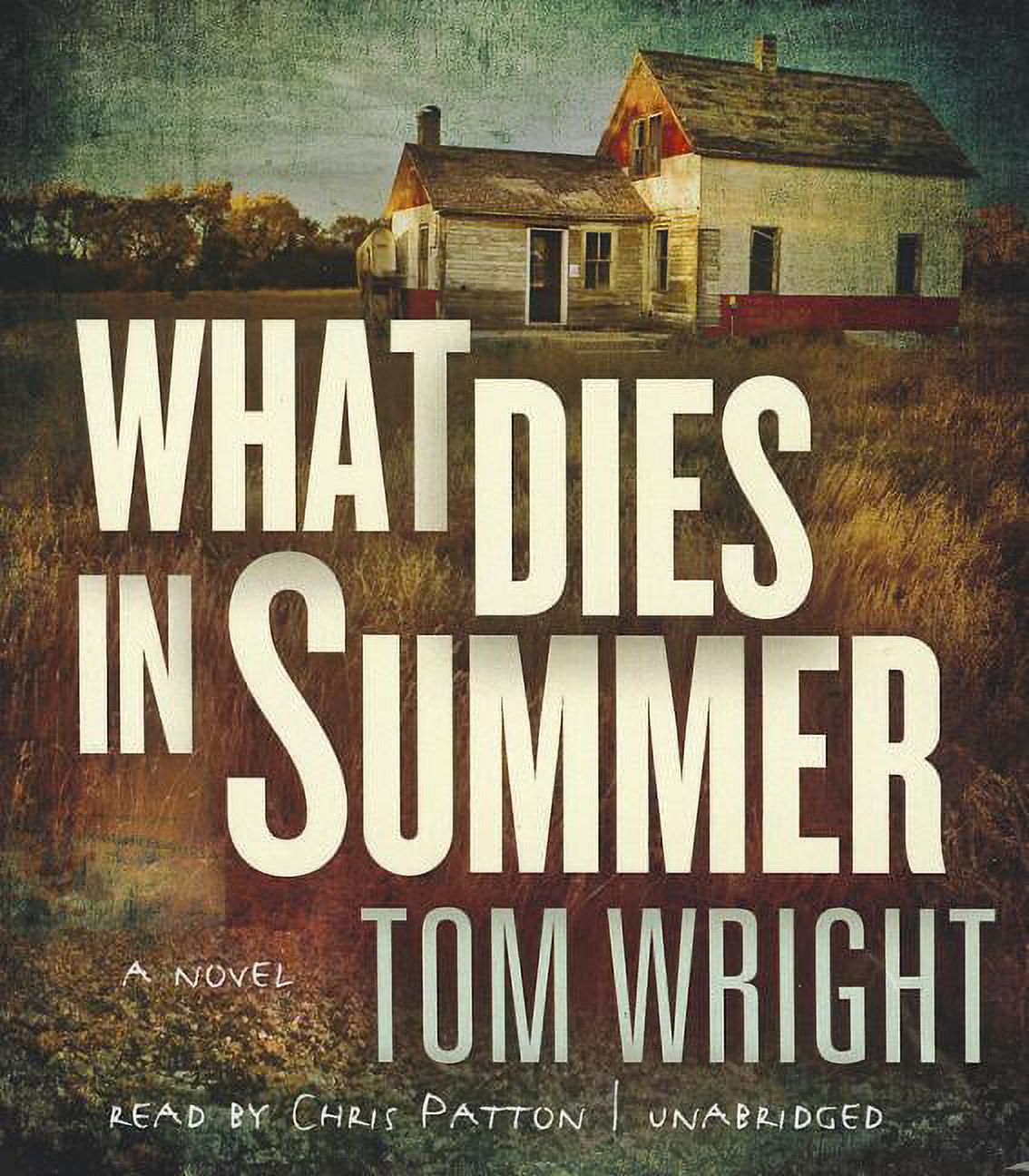 What Dies in Summer (Audiobook) - image 1 of 1