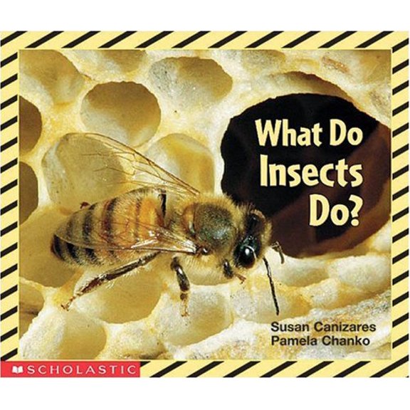 Pre-Owned What Do Insects Do? Science Emergent Reader Paperback Susan Canizares