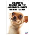 thumbnail image 1 of What Do You Meme - Eye Contact Wall Poster, 14.725" x 22.375", Framed, 1 of 3