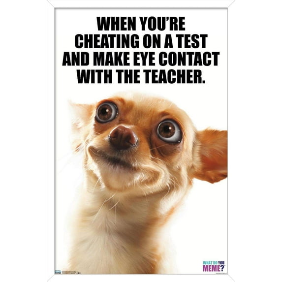What Do You Meme - Eye Contact Wall Poster, 14.725" x 22.375", Framed