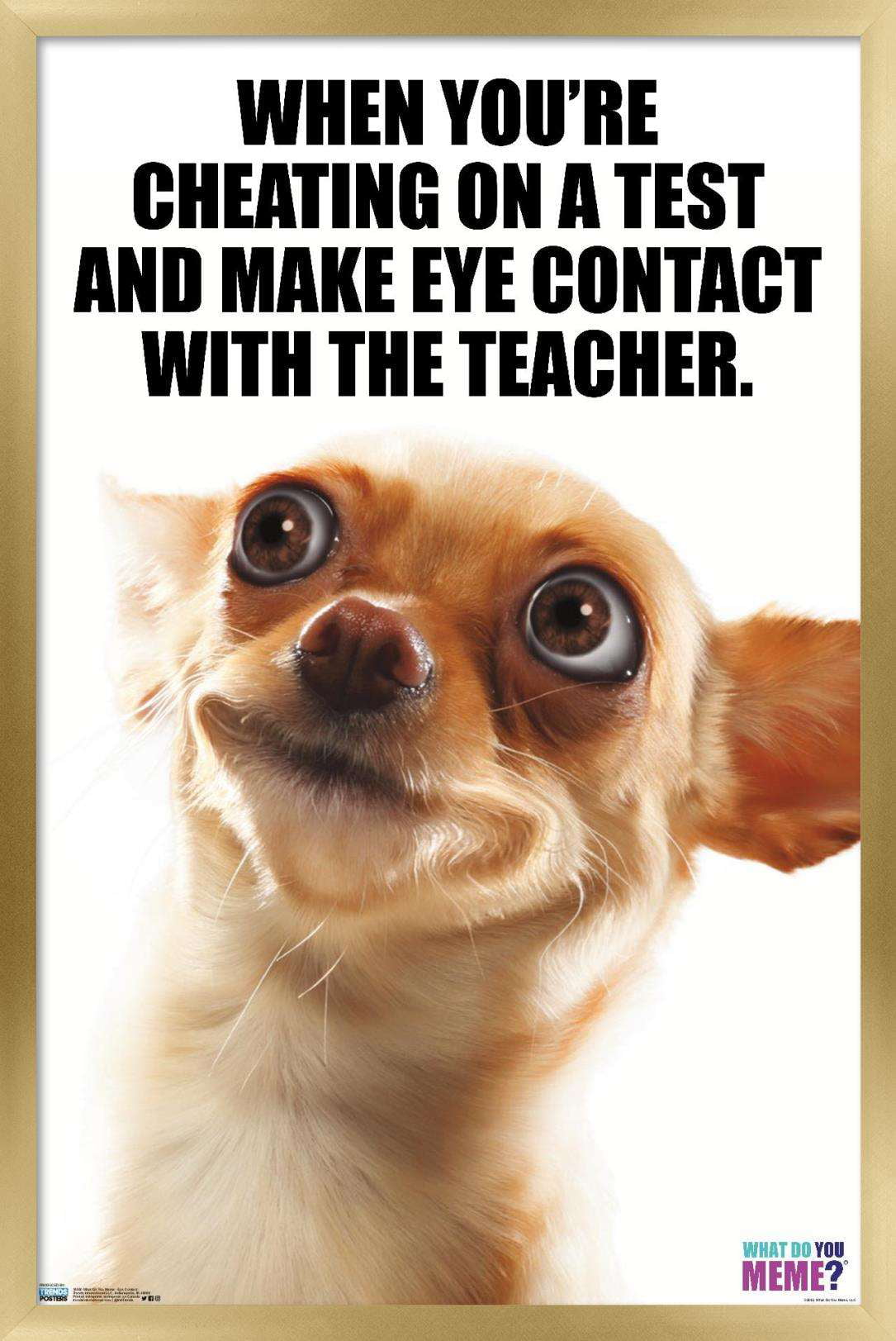What Do You Meme - Eye Contact Wall Poster, 22.375" x 34", Framed