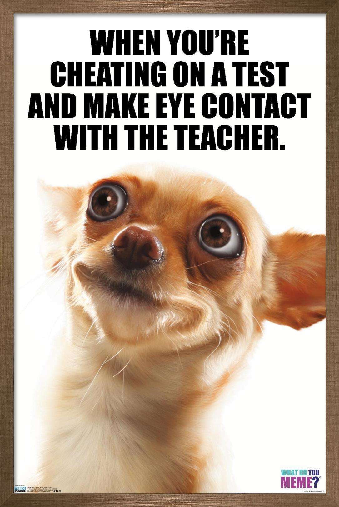 What Do You Meme - Eye Contact Wall Poster, 22.375" x 34", Framed