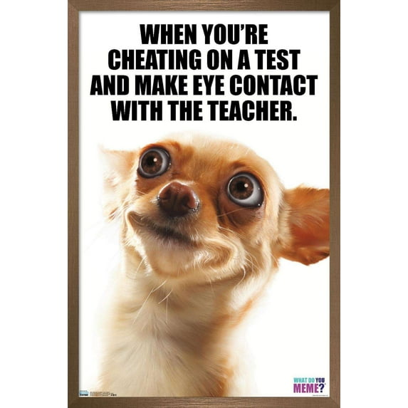 What Do You Meme - Eye Contact Wall Poster, 22.375" x 34", Framed