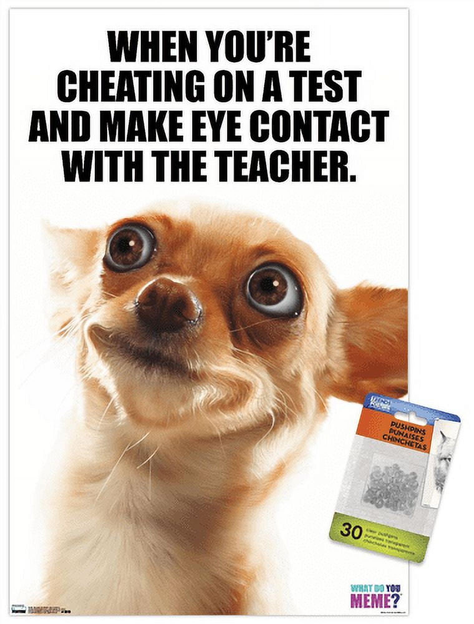 What Do You Meme - Eye Contact Wall Poster with Push Pins, 14.725" x 22.375"