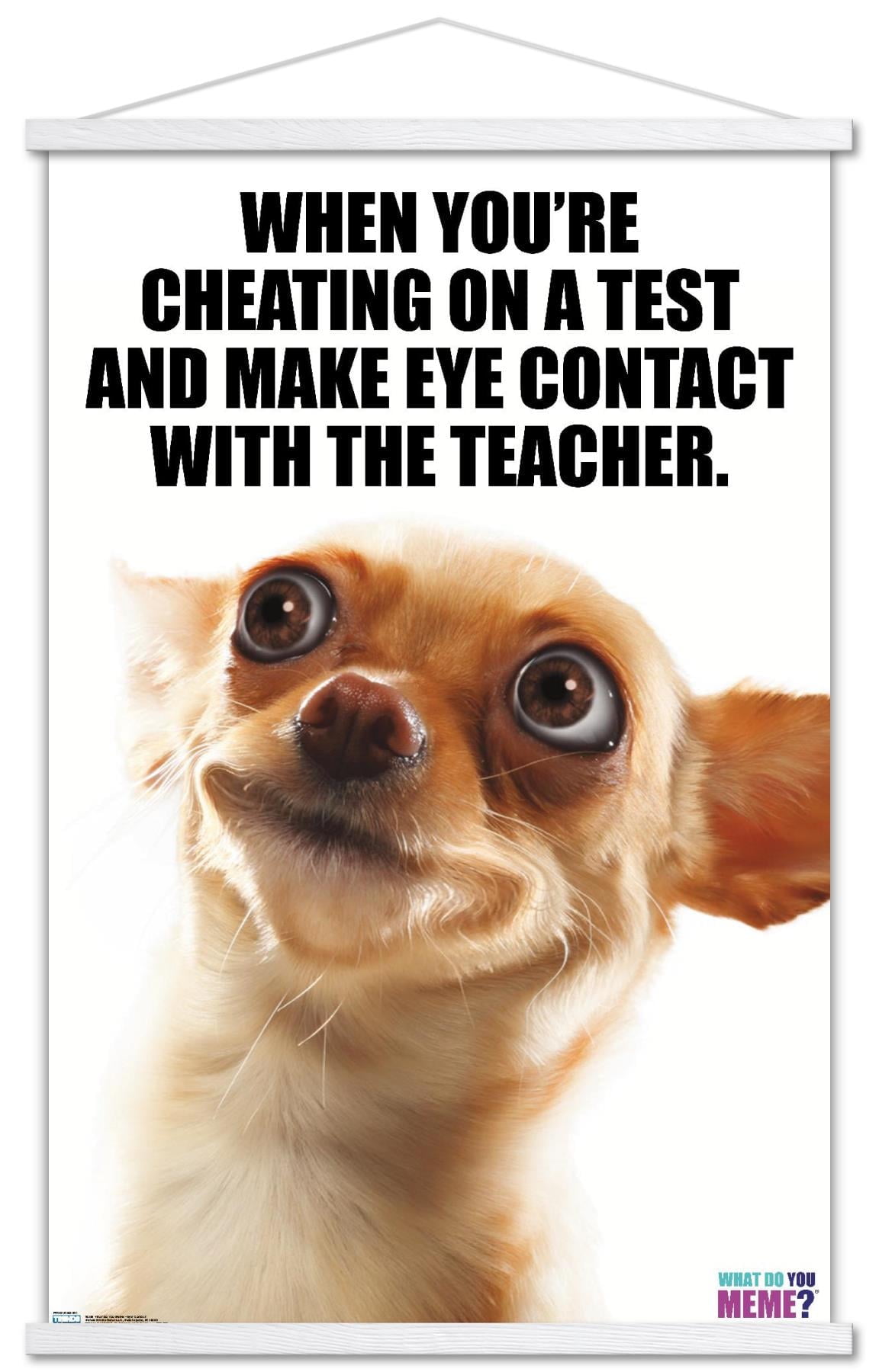 What Do You Meme - Eye Contact Wall Poster with Wooden Magnetic Frame, 22.375" x 34"
