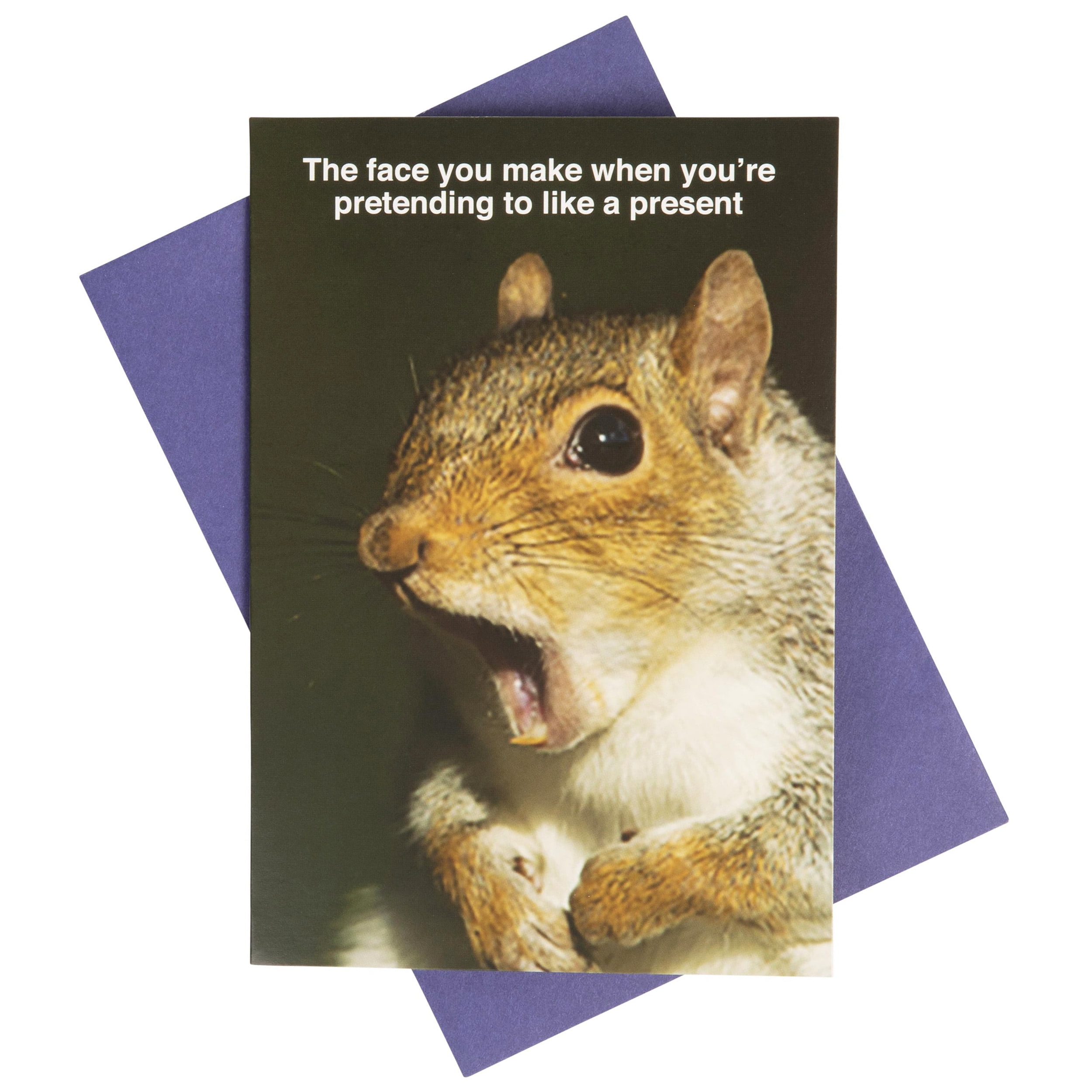 What Do You Meme?® Greeting Card - Birthday Card (Shocked Squirrel