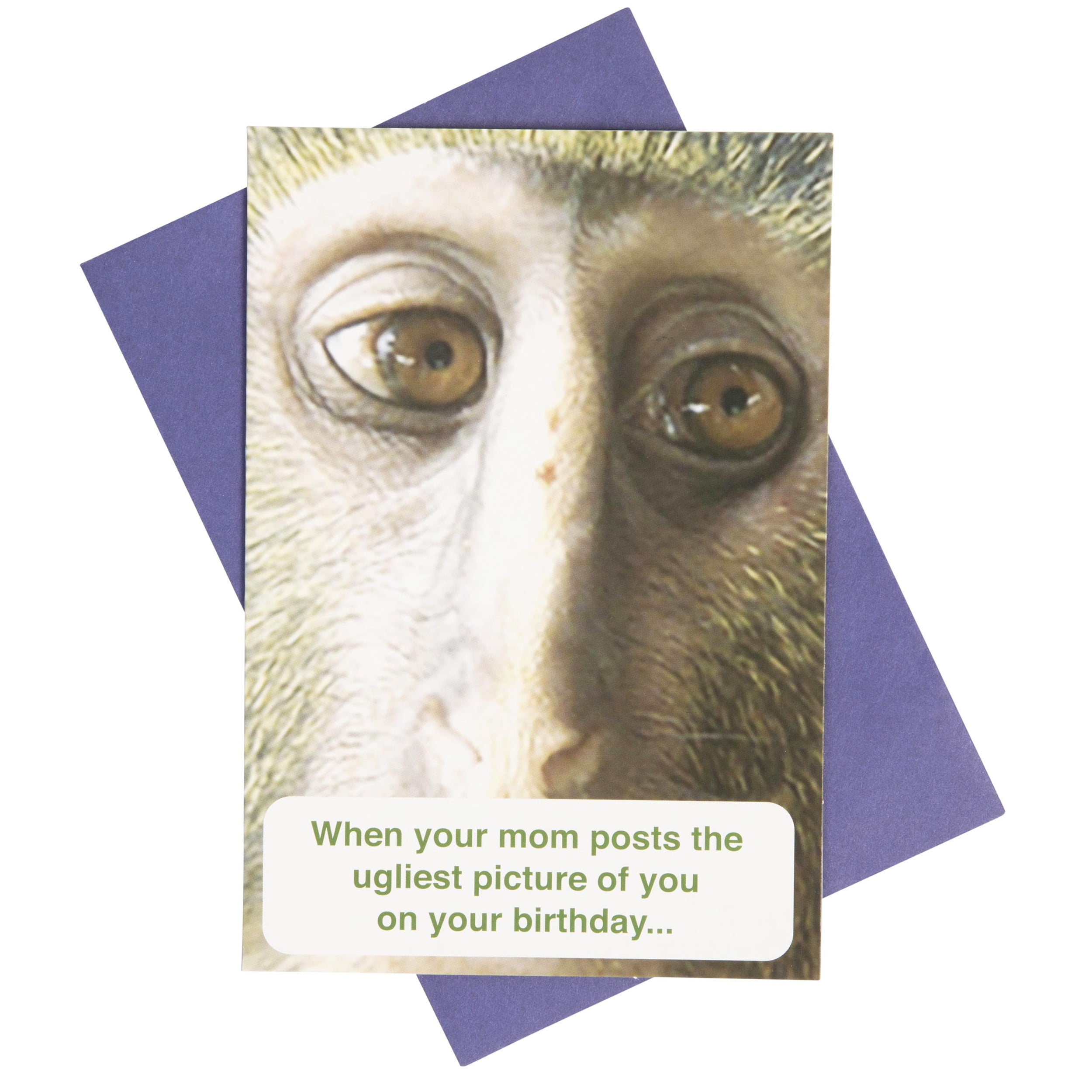 What Do You Meme?® Greeting Card - Birthday Card (Social Media Monkey) 