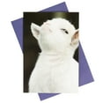 thumbnail image 1 of What Do You Meme?® Greeting Cards - Congratulations Card (Sheep), 1 of 5