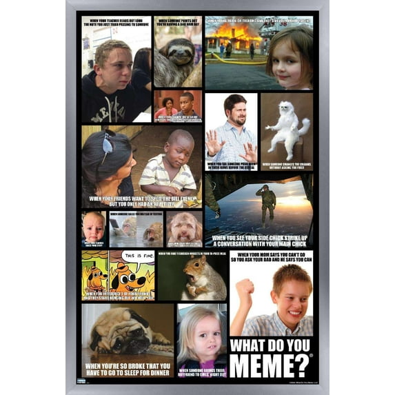 What Do You Meme - Grid Wall Poster, 14.725" x 22.375", Framed