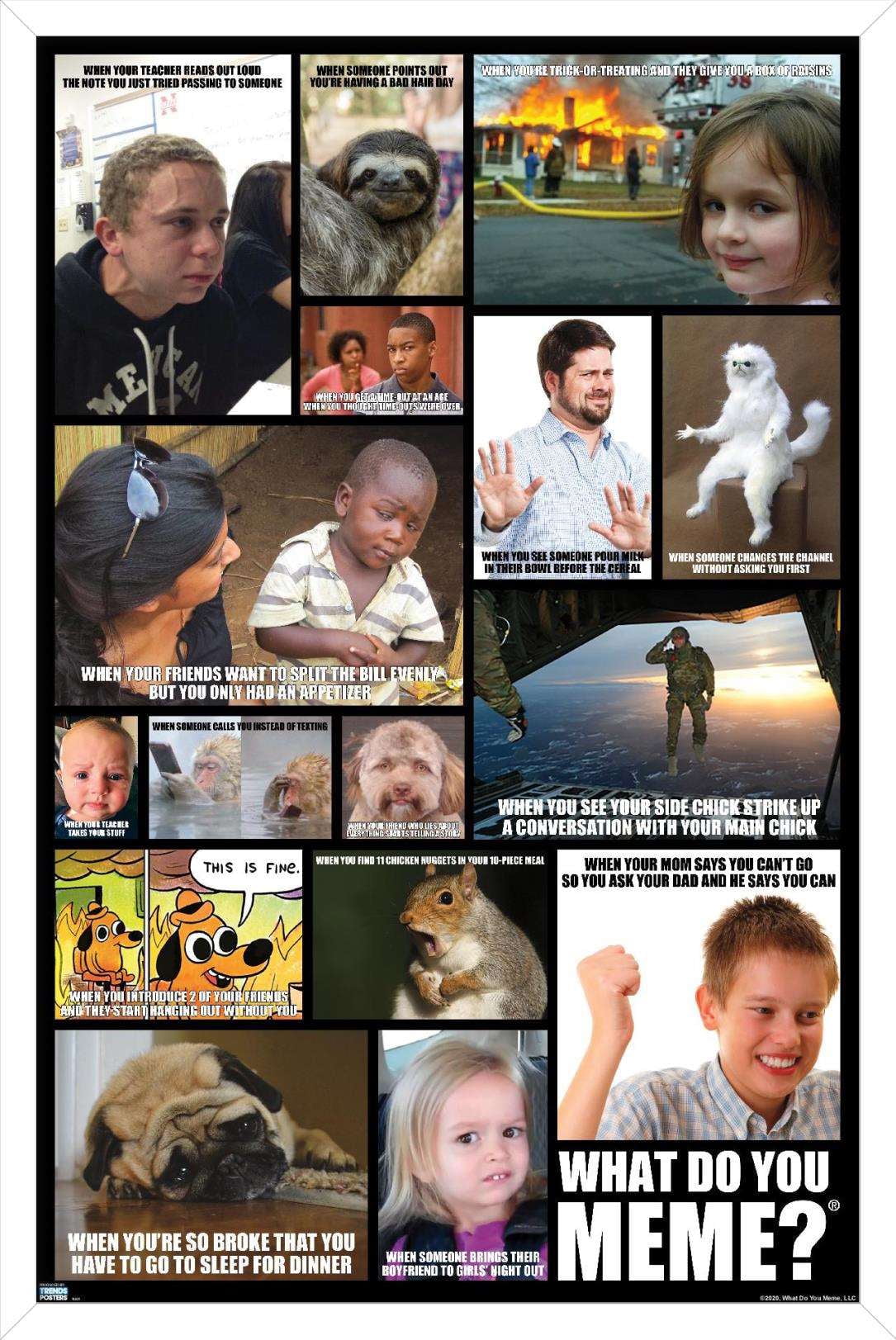 What Do You Meme - Grid Wall Poster, 14.725" x 22.375", Framed