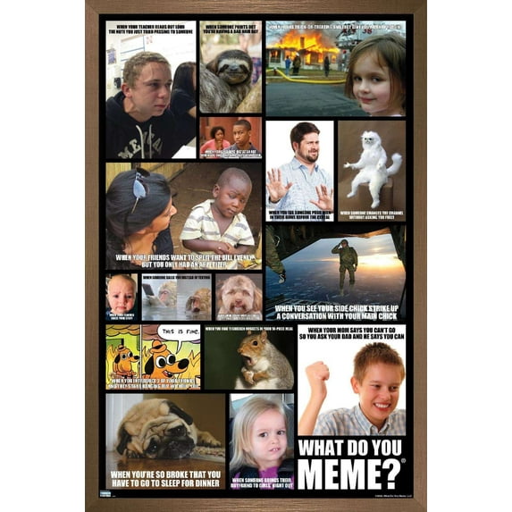 What Do You Meme - Grid Wall Poster, 14.725" x 22.375", Framed