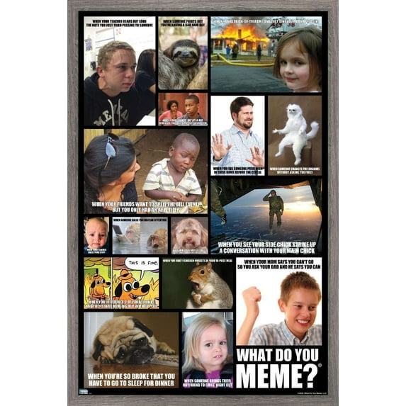 What Do You Meme - Grid Wall Poster, 14.725" x 22.375", Framed
