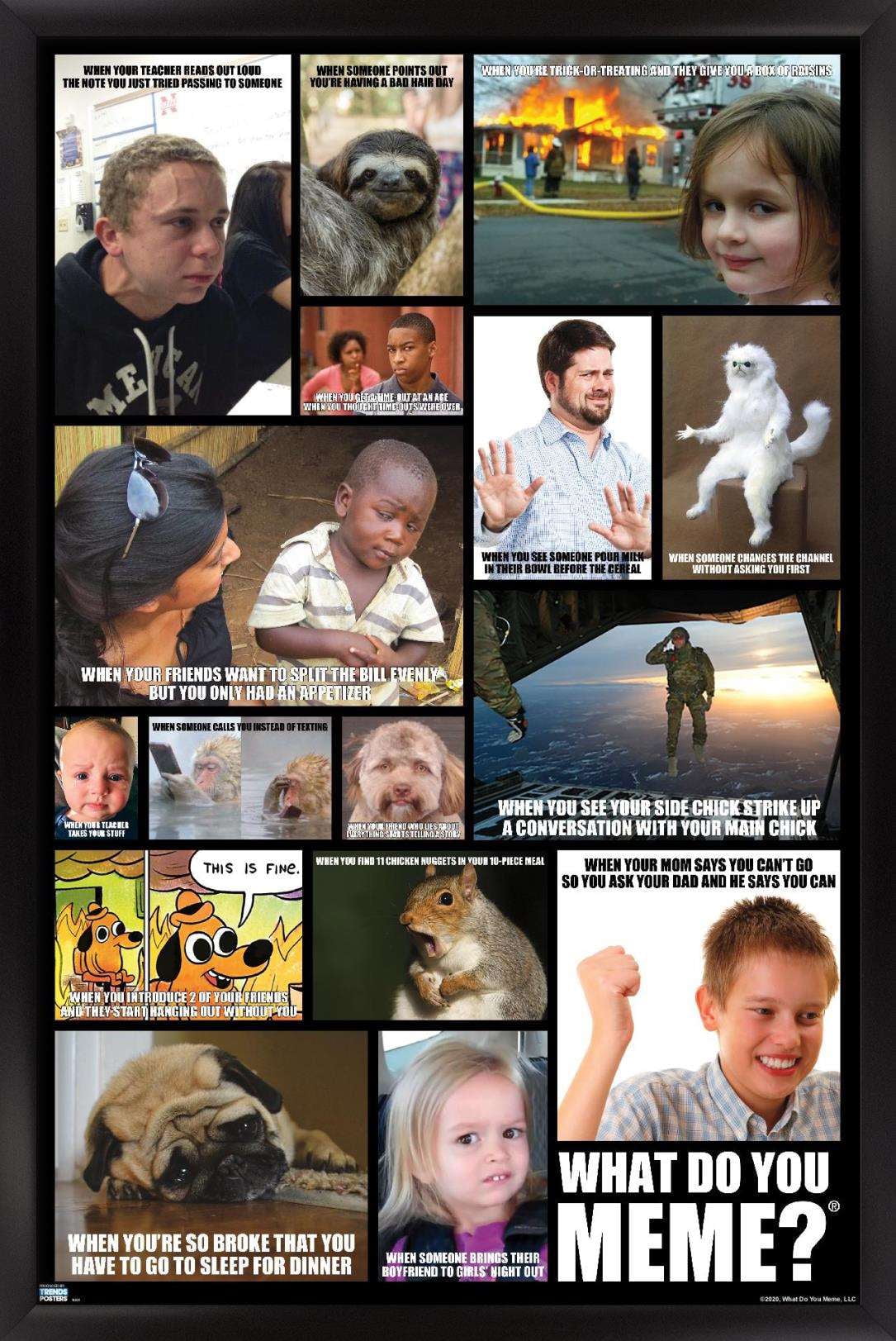 What Do You Meme - Grid Wall Poster, 22.375" x 34", Framed