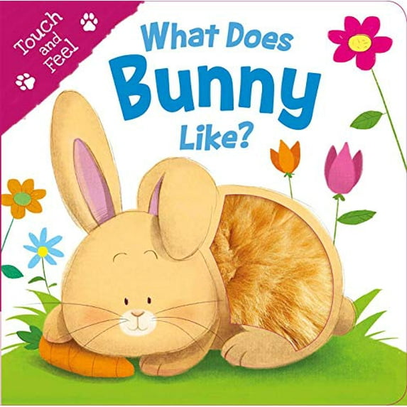 Pre-Owned What Does Bunny Like? (Touch & Feel): Touch & Feel Board Book (Board book) 178810367X 9781788103671