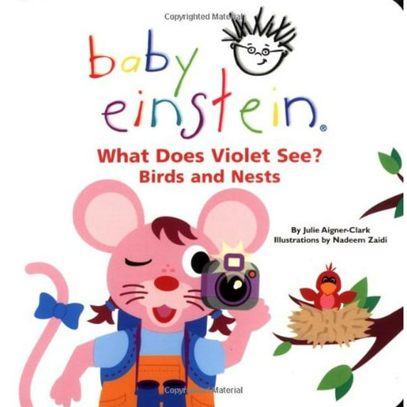 Pre-Owned What Does Violet See? Birds and Nests (Baby Einstein) (Hardcover) 0786808748 9780786808748