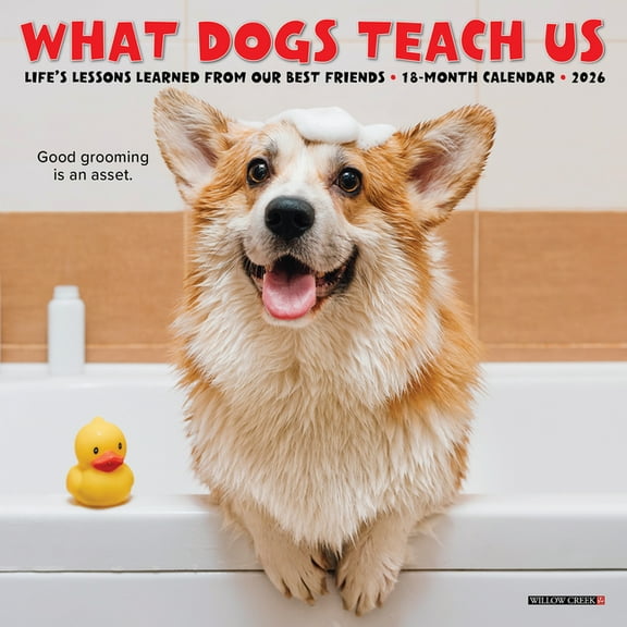 What Dogs Teach Us 2026 Mini Wall Calendar, (Paperback)