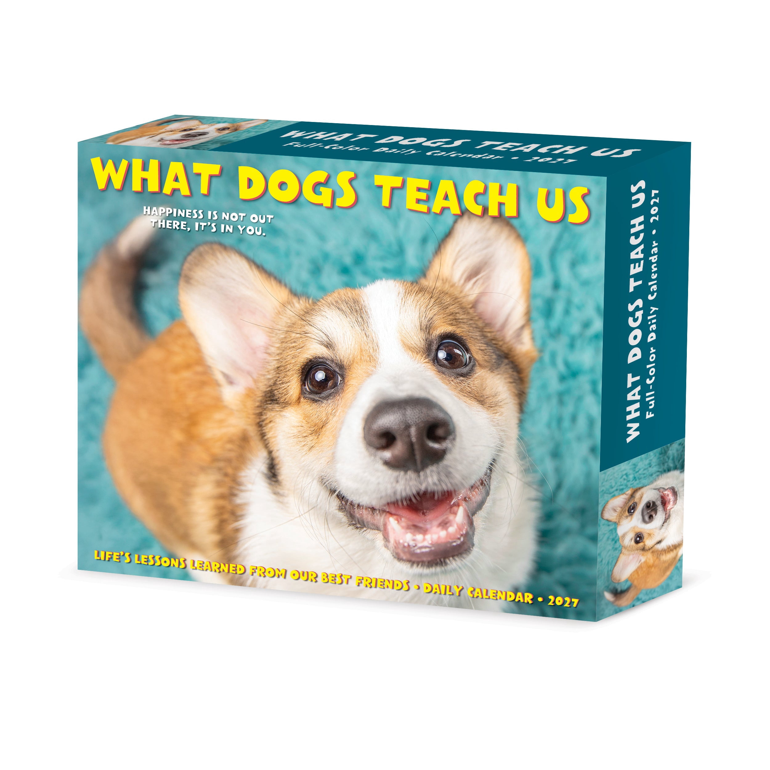 Willow Creek Press, What Dogs Teach Us 2027 Box Calendar
