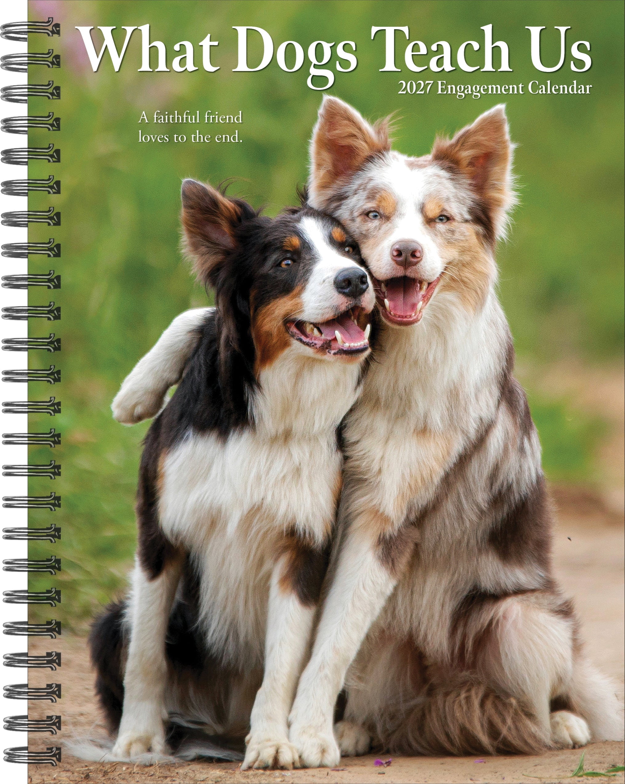 Willow Creek Press, What Dogs Teach Us 2027 Engagement Calendar
