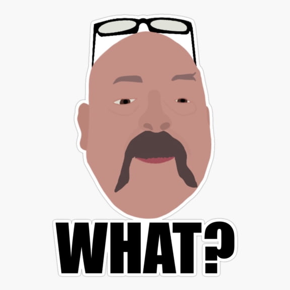 What? Er, Phone Decal Water Bottle Stickers Car Decals, Funny Birthday Gift