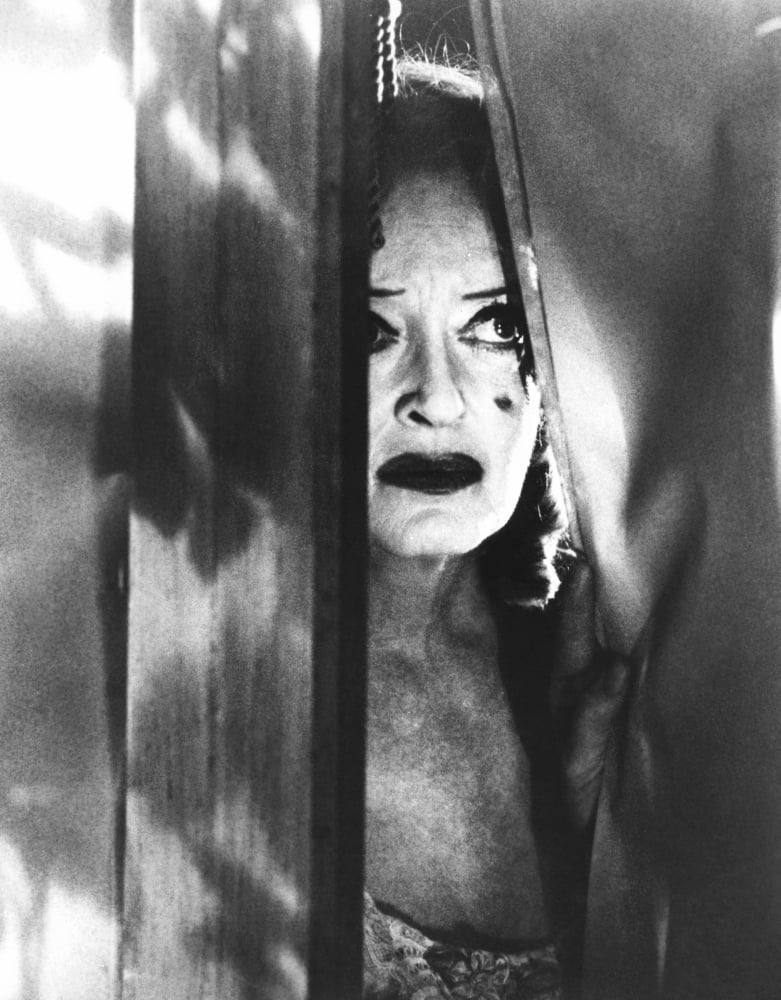 What Ever Happened To Baby Jane Canvas Art - (16 x 20)