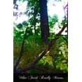 thumbnail image 1 of What Faith Really Means : A Simple Explanation, 1 of 1