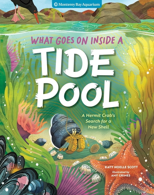 What Goes on Inside a Tide Pool: A Hermit Crab's Search for a New Home, (Hardcover)