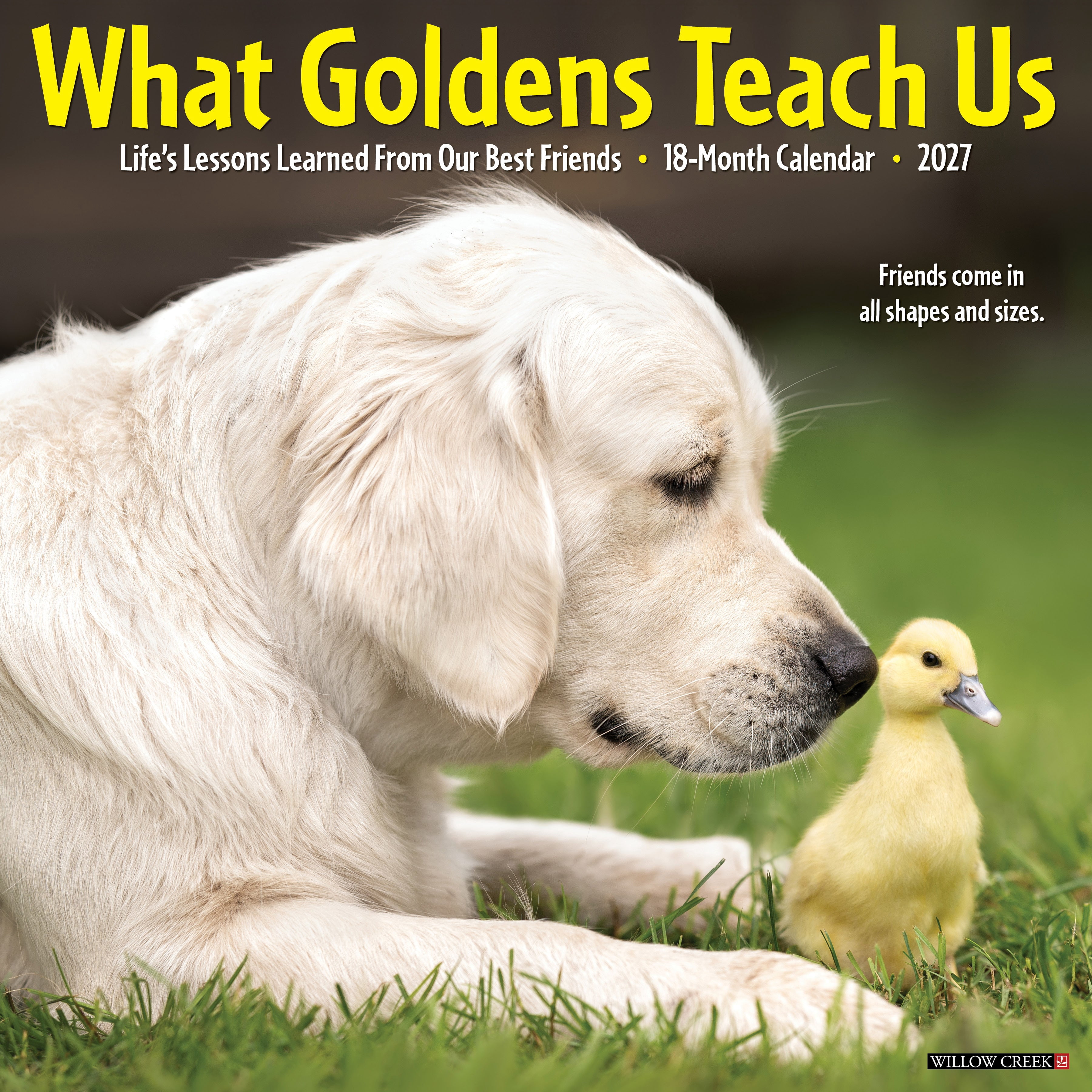 Willow Creek Press, What Goldens Teach Us 2027 Wall Calendar