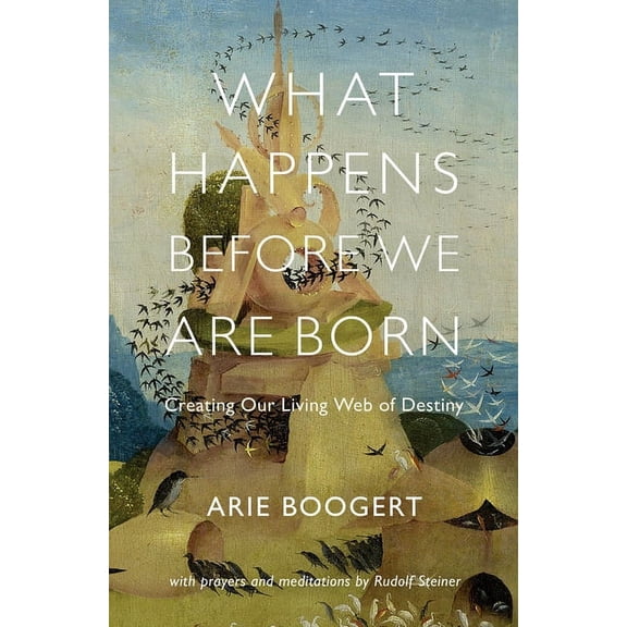 What Happens Before We Are Born: Creating Our Living Web of Destiny, (Paperback)