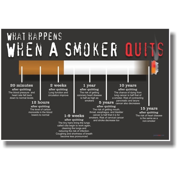 What Happens When a Smoker Quits - NEW Health Poster