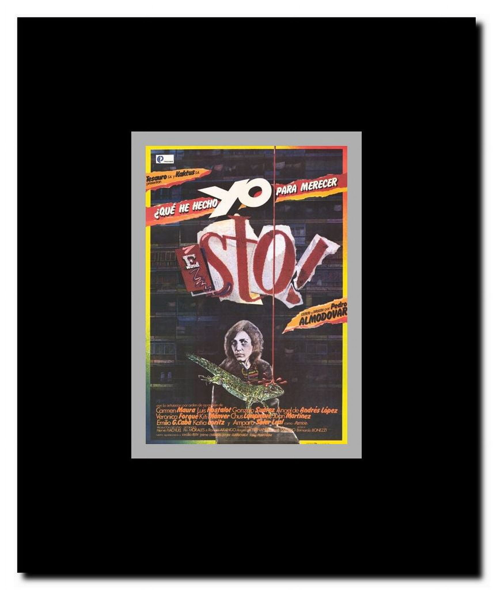 What Have I Done To Deserve This Framed Movie Poster
