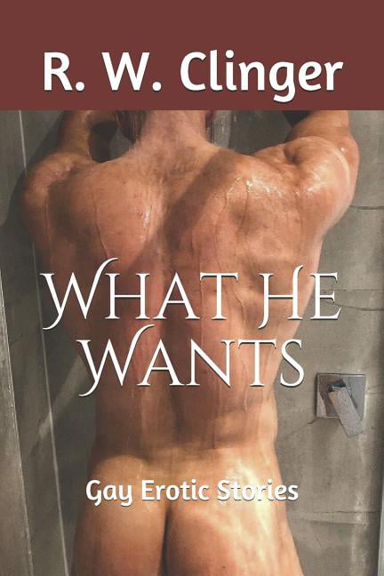 What He Wants Gay Erotic Stories (Paperback)