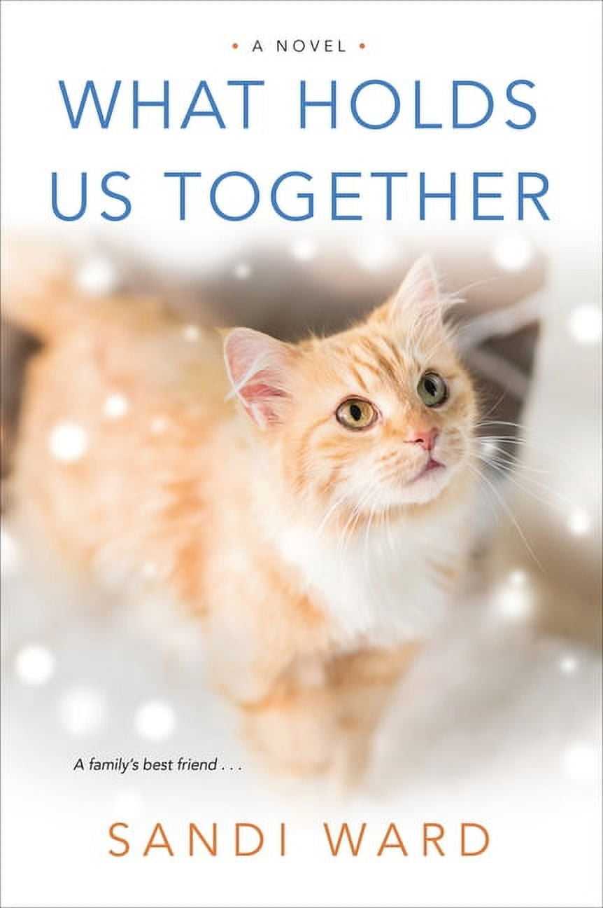 What Holds Us Together (Paperback)