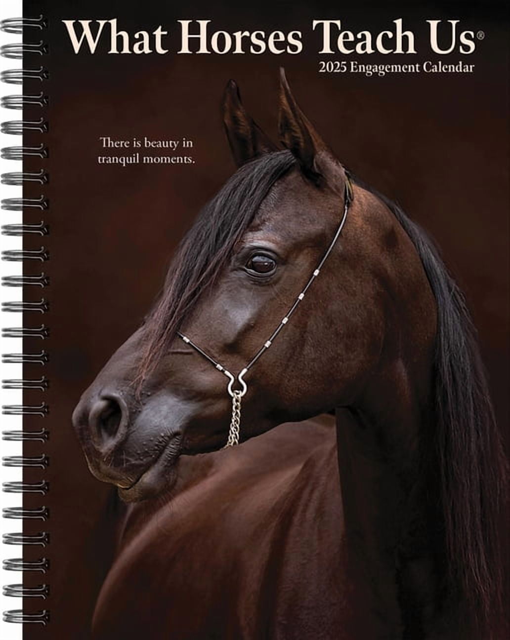 What Horses Teach Us 2026 6.5 X 8.5 Engagement Calendar, (Hardcover)