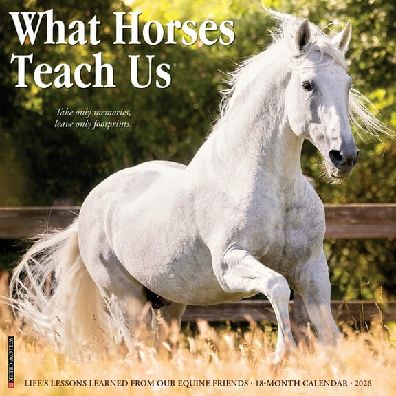 What Horses Teach Us 2026 Wall Calendar, (Paperback)