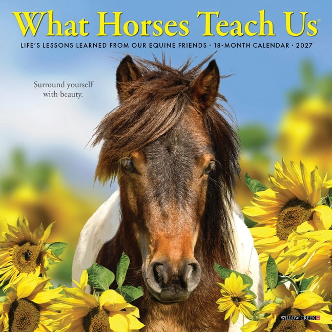 What Horses Teach Us 2027 7 X 7 Mini Wall Calendar, (Paperback)