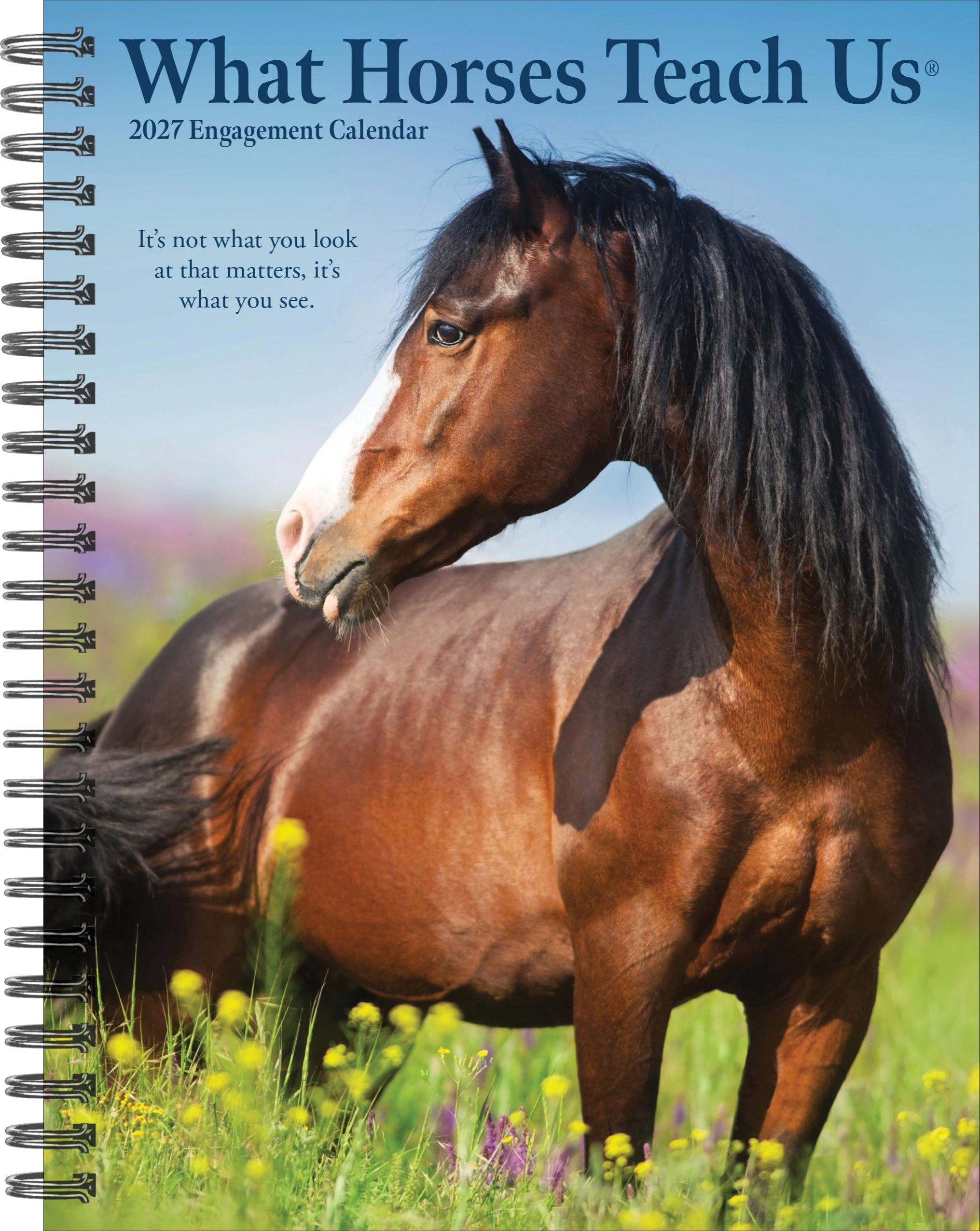 Willow Creek Press, What Horses Teach Us 2027 Engagement Calendar