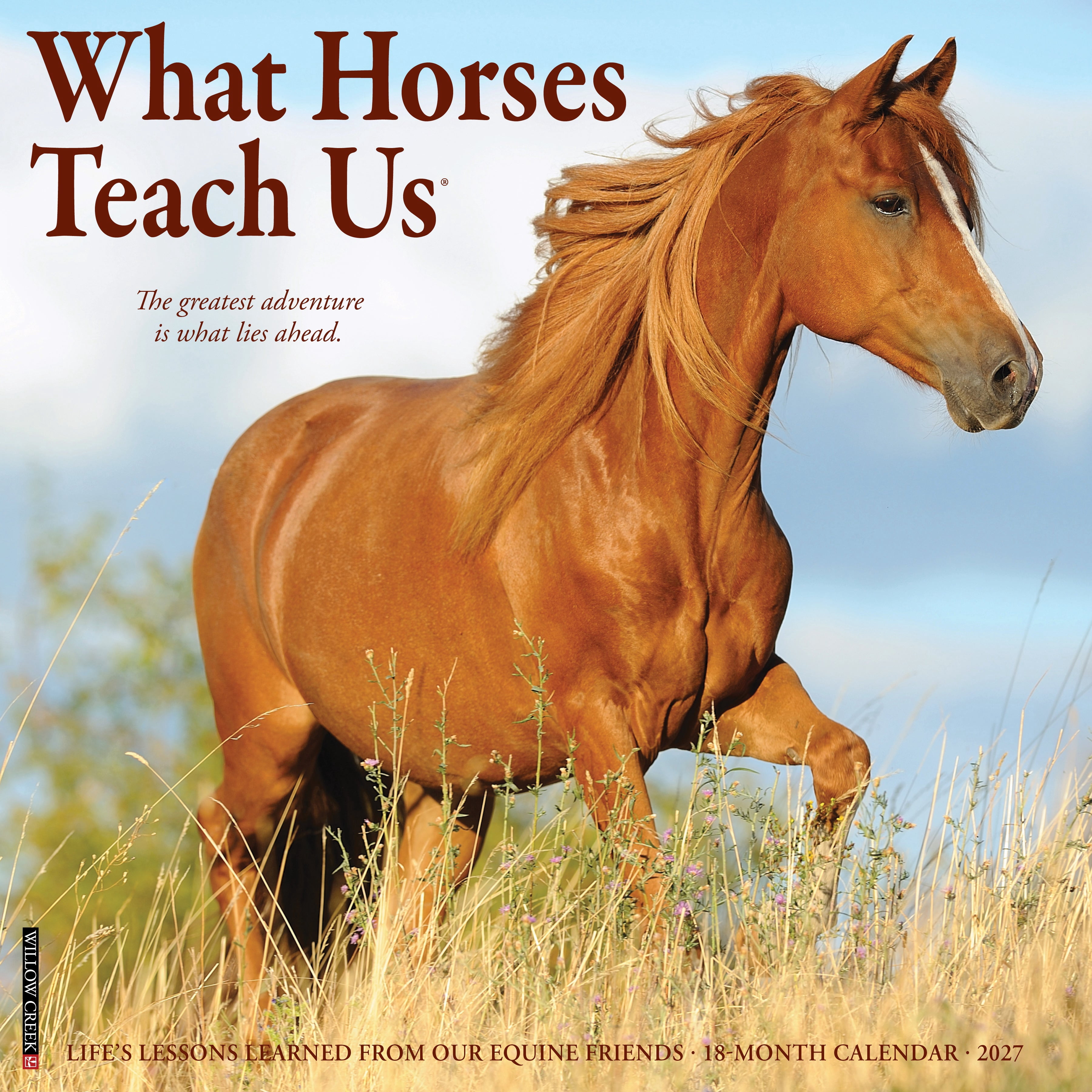 Willow Creek Press, What Horses Teach Us 2027 Wall Calendar