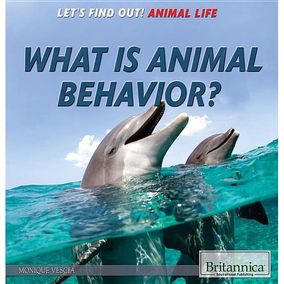 What Is Animal Behavior?