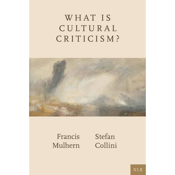 What Is Cultural Criticism? (Paperback)