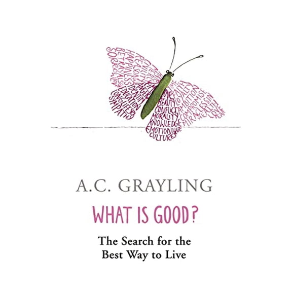Pre-Owned What is Good? (Paperback) 0753817551 9780753817551
