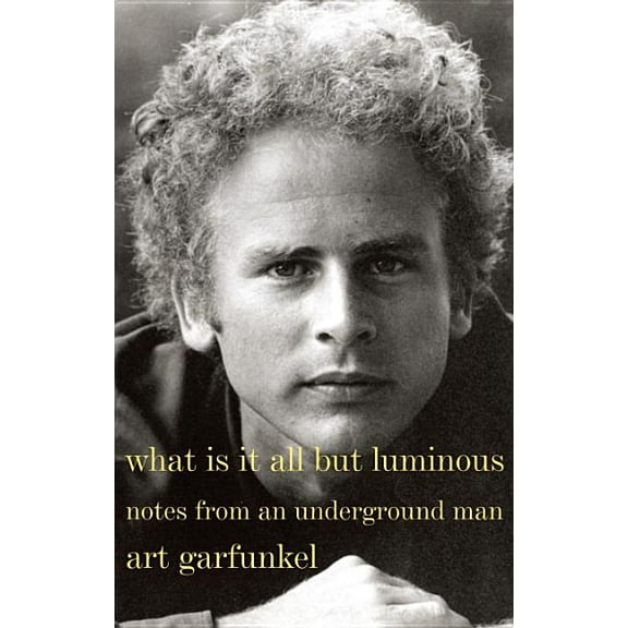 What Is It All But Luminous: Notes from an Underground Man (Hardcover)