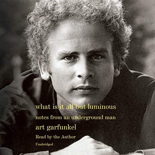 Pre-Owned What Is It All But Luminous Paperback