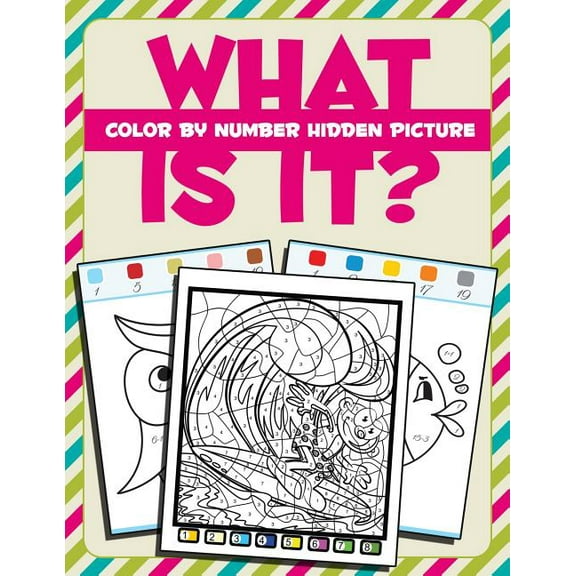What Is It?: Color By Number Hidden Picture (Paperback)