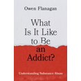 thumbnail image 1 of What Is It Like to Be an Addict?: Understanding Substance Abuse, (Hardcover), 1 of 7