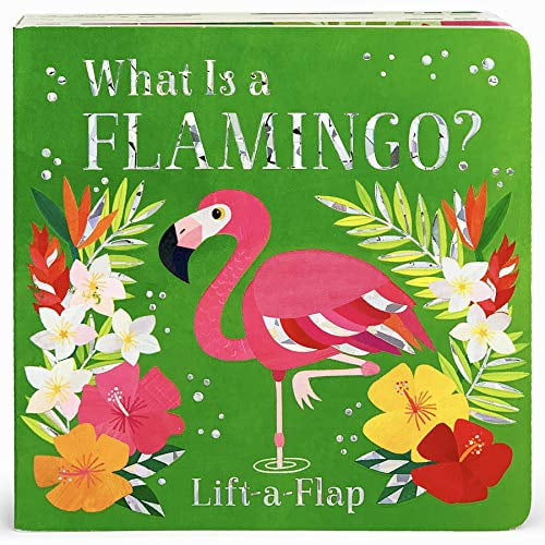 Pre-Owned What Is a Flamingo? (Board book) 1680526367 9781680526363