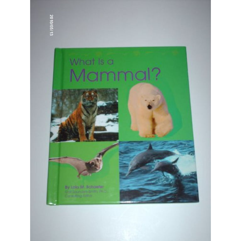 What is on sale a mammal